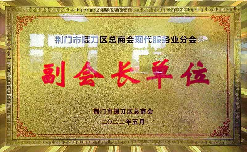 掇刀区现代服务业副会长单位.jpg